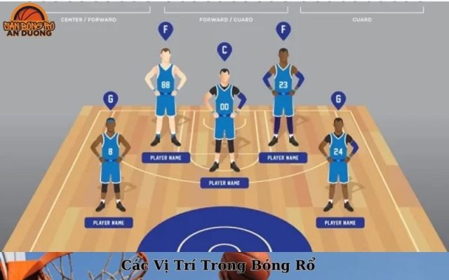 Các Vị Trí Trong Bóng Rổ