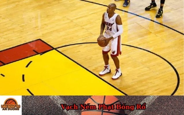 Vạch Ném Phạt Bóng Rổ