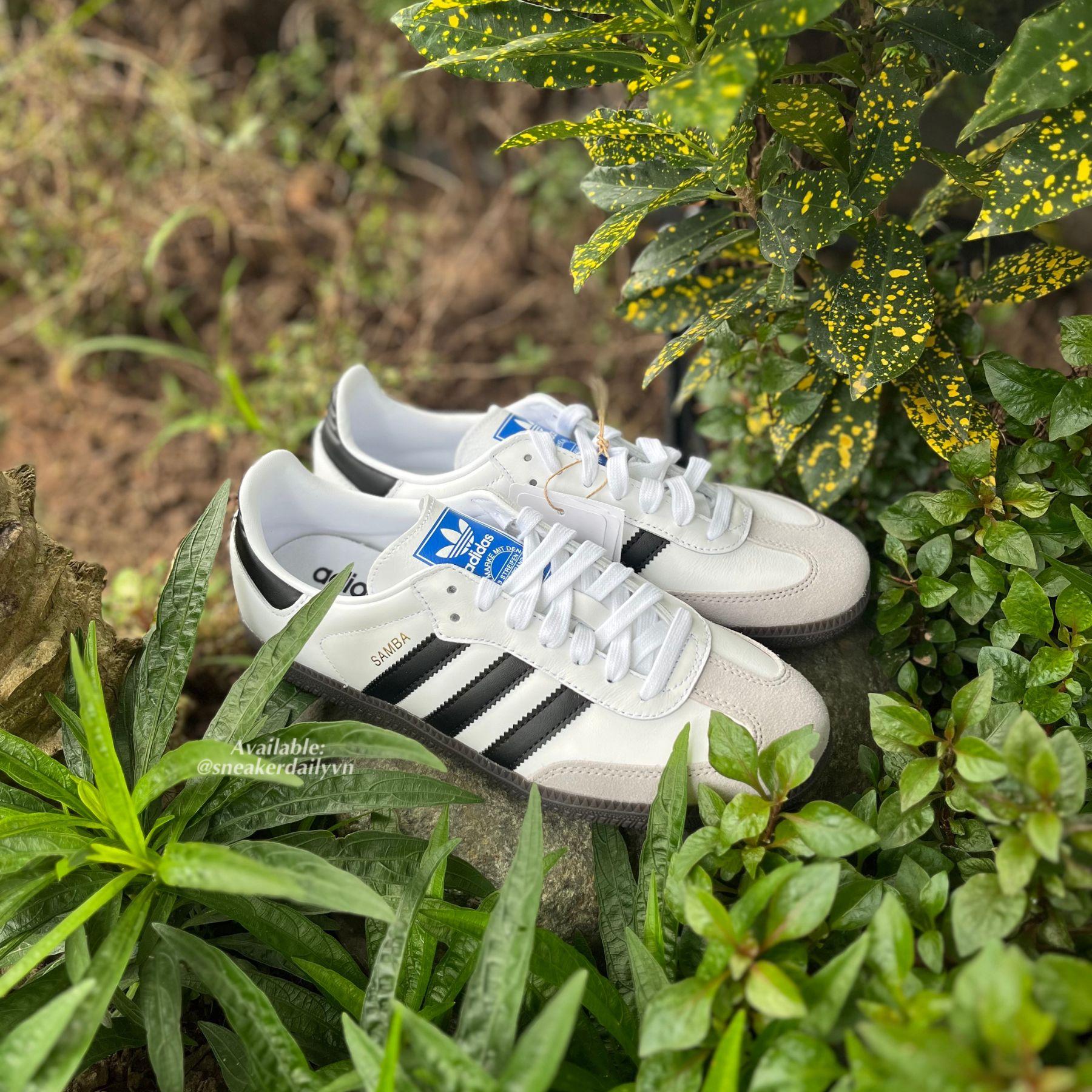 giay-adidas-samba-og-white-black-gum-b75806-4